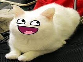 catsniper27