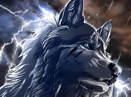 Thunderwolf666