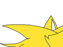 SonicDude456