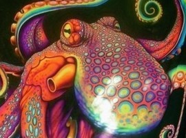 CrayonSquid