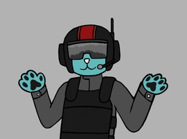 aerocat