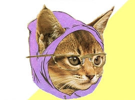 4ChanKitty