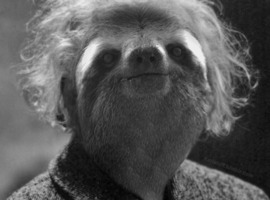 ClassySloth