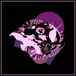 ShirkMusic