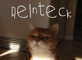 Reinteck