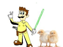 superchickens
