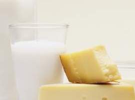 Cheesecreamer