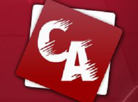 CasualArena