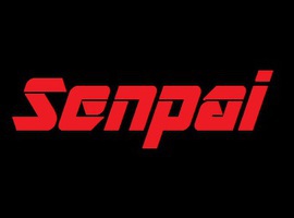 Senpai1993