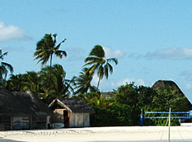 D3LfI