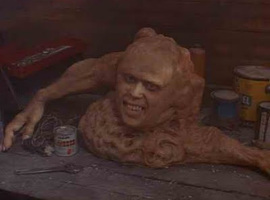 NikWright