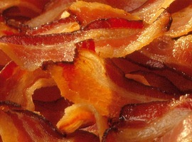 BaconFool