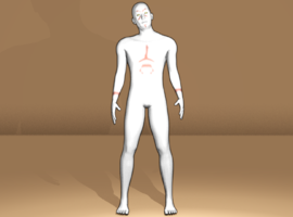 Morphman86