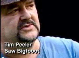 fullmetalbebop
