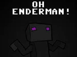EnderTheGinger