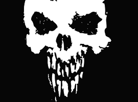 SonicsGreyDeath