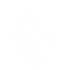 Syzion