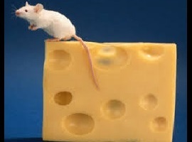 Jellybread