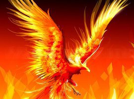 Phoenix51
