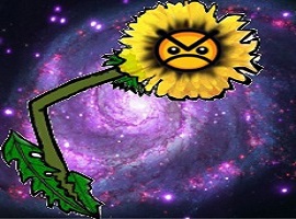 DANGARANG