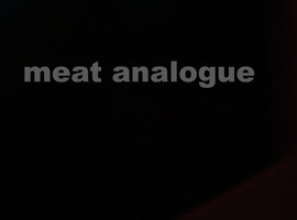 MeatAnalogue