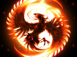 INFERNOBIRD360