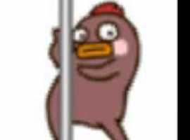 Beansrabba