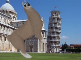 DocRobLlama