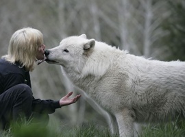 WhiteWolfie