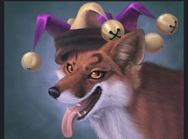 Wongoof