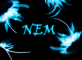 nemernemer