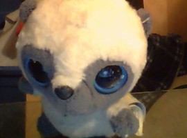 Yoohoofan123