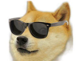 Doublechindoge7