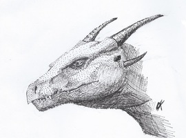 DragonKeeper345