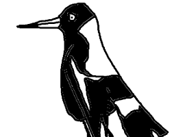 Alkador