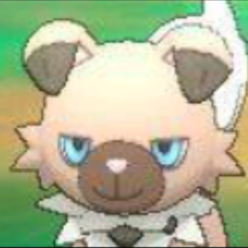 Pokecreeper