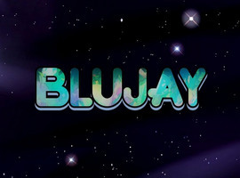 BluJay55555