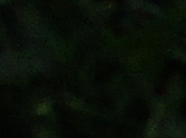 CurlExpress