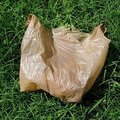 BrownPlasticBag