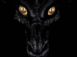 Dragoblood103