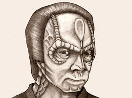 theGreyGore