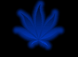 sny420