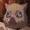 CaptainBritish's icon
