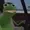 coolghostDX's icon