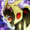 chubik's icon