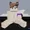 epicnsfw1's icon