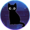 blackcatstudios's icon