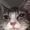 Traegaming's icon