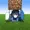 DarkbumBR's icon