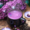 LavenderDrizzle's icon